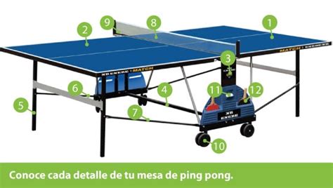 C Mo Comprar Tu Mesa De Ping Pong