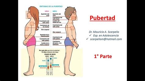 Pubertad Normal 1° Parte Youtube