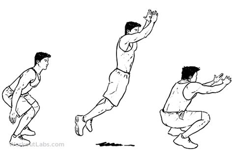 Standing Long Jump | Illustrated Exercise guide - WorkoutLabs