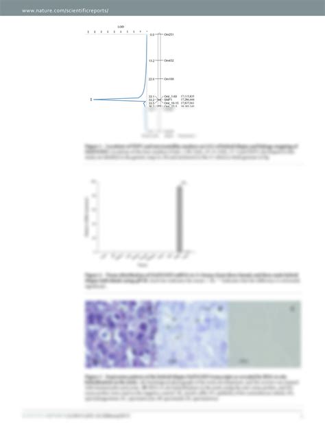 Solution Charactering The Zfand3 Gene Mapped In The Sex Determining