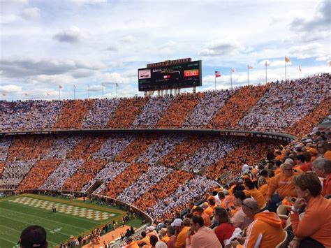 Checker Neyland Founder Inspires Trend Among Vol Fans Tennessee Journalist