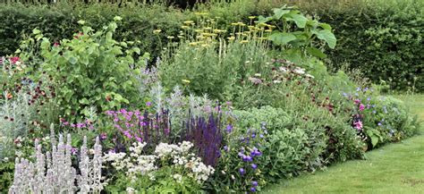 Dense Plantings For Wild Beauty Fine Gardening