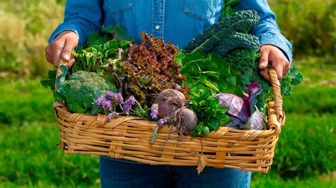 Cocina sustentable o gastronomía sostenible Diferencias y cómo