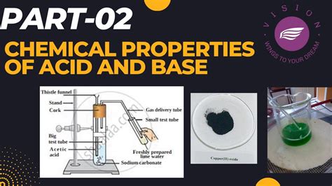 Chemical Properties Of Acid And Baseclass 10thsciencecbsencert