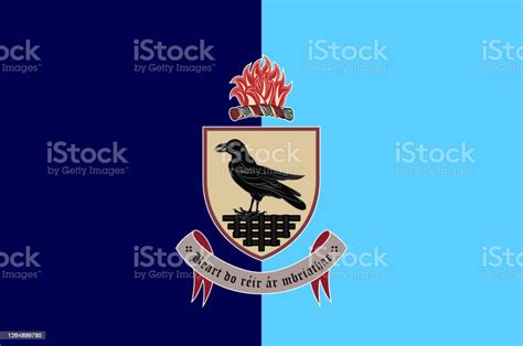 Flag Of County Dublin Of Ireland Stock Illustration Download Image