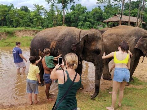 Elephant Sanctuary Park Near Bangkok Half Day Morning Tour