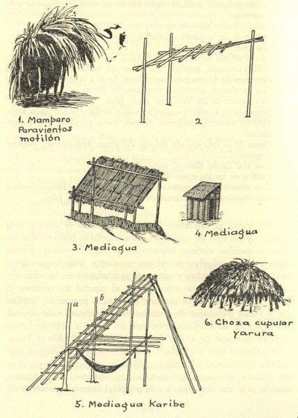 El Shapono Shabono Vivienda Colectiva De Los Yanomami Arqa