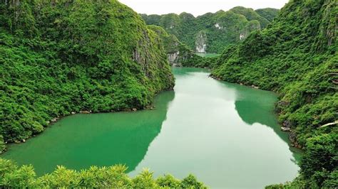 Extraordinary experiences in Cat Ba National Park (Jan,2025)