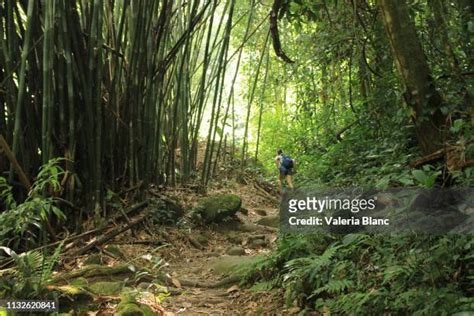 9,486 Amazon Rainforest People Stock Photos, High-Res Pictures, and Images - Getty Images