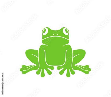 Red Eye Frog A Beautiful Tree Frog On White Background