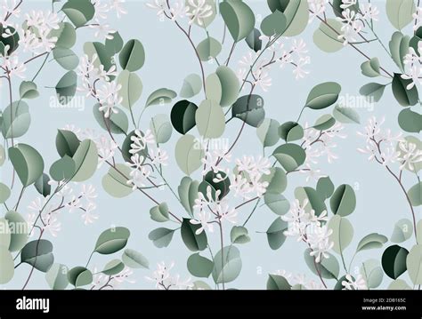 Eucalyptus Watercolor Leaf Seamless Pattern Evergreen Plant Botanical Illustration Dollar