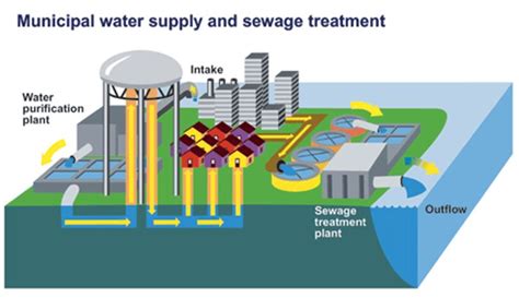 Water Distribution System Schematic