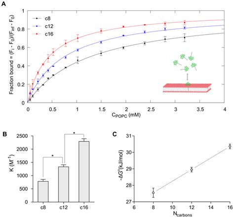 Binding To Neutral Liposomes Addition Of Popc Liposomes To 2 Peptide Download Scientific