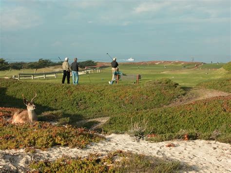 Pacific Grove Golf Course, Pacific Grove CA | Hidden Links Golf