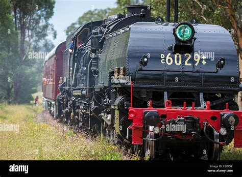 Sydney Australia 1st March 2015 The Gigantic 260t Beyer Garratt