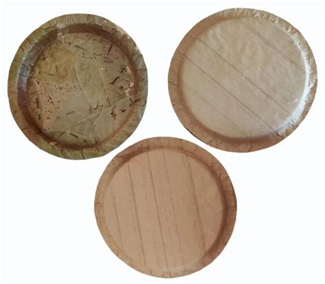 6 Inch Dry Sal Leaf Plate At Rs 1 10 Piece Sal Leaf Plate In Balasore