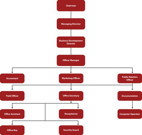 Organization Chart Smart Overseas Pvt Ltd