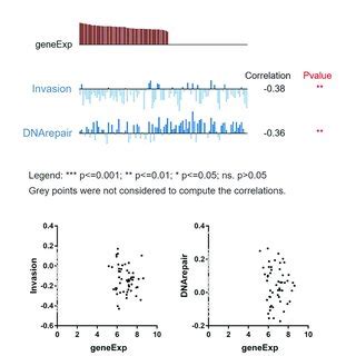 Correlation Between STAT5A And Functional States Of OV Cells