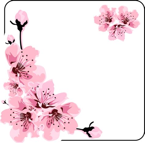 Moldura Floral Decorada Com Algumas Rosas Cor De Rosa 15081008 Png