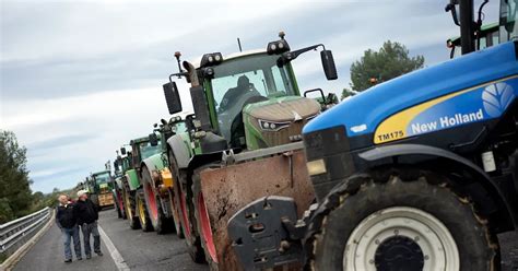 Los agricultores españoles aún sin solución a sus problemas tras un