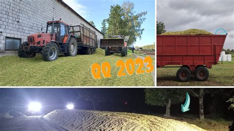 Kukurydza na Kiszonkę 2023 URSUS ZETOR ClAAS YouTube