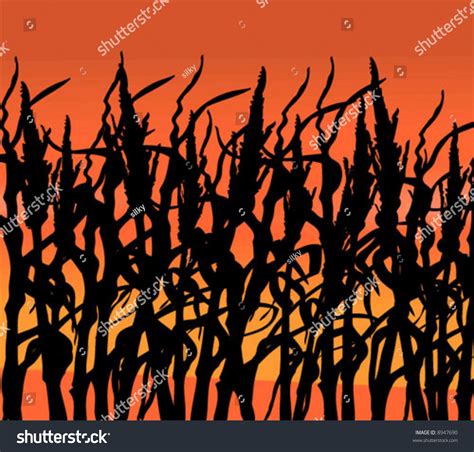 Corn Field Vector Illustration Stock Vector (Royalty Free) 8947690 ...