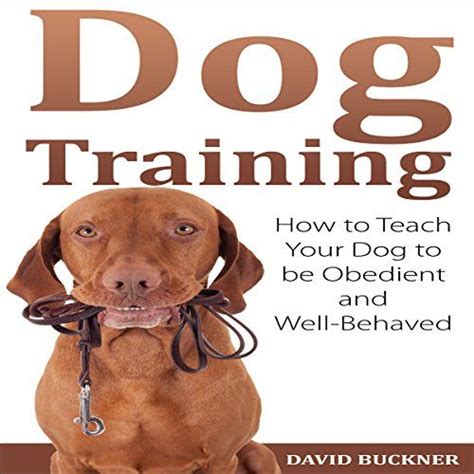 Dog Training How To Teach Your Dog To Be Obedient And Wellbehaved Be