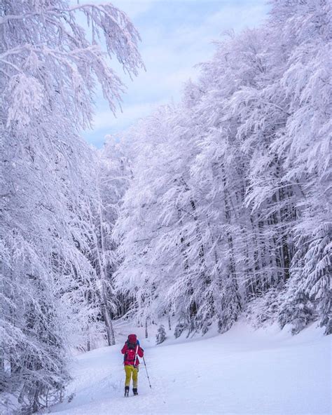 20 beautiful photos that show the magic of Christmas in Romania ...