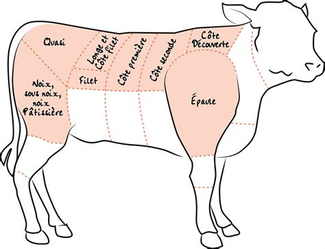 Les Morceaux Du Veau Adet Les Viandes Du Bourbonnais