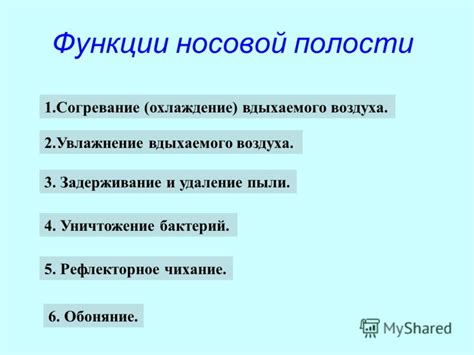 Презентация на тему: "Дыхание МОУ Заболотовская СОШ Учитель биологии ...