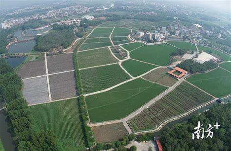 夯实粮食压舱石，茂名奏响春耕序曲房产资讯房天下