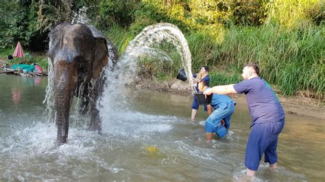 A day with the elephants in Chiang Mai - Make this a Journey