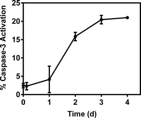 Dox Induced Caspase 3 Activation In Rat Cardiomyocytes Cells H9c2