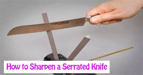 How To Sharpen A Serrated Knife What Tools Are Needed