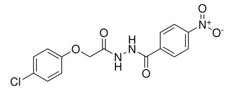 Nitro Benzoic Acid N Chloro Phenoxy Acetyl Hydrazide