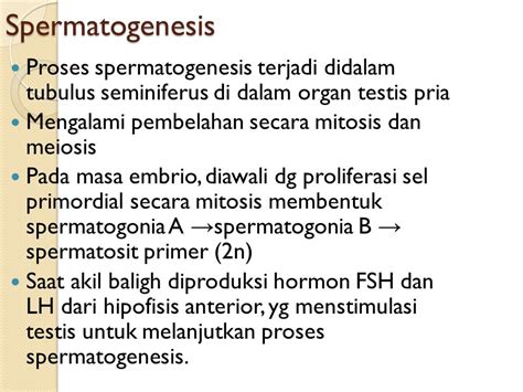 Tabel Perbedaan Spermatogenesis Dan Oogenesis Bintangutama Github Io