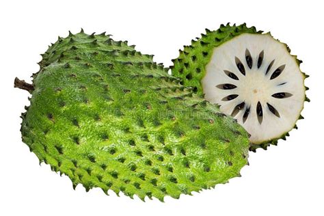 Annona Muricata Fruta De La Guan Bana Foto De Archivo Imagen De Sano