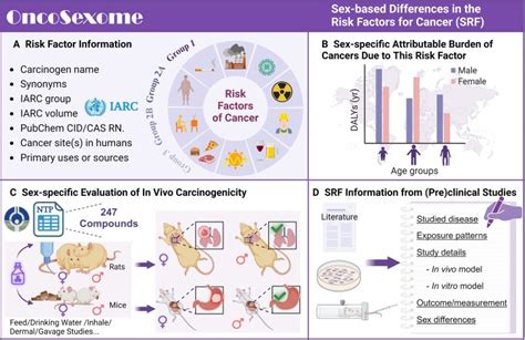 OncoSexome The Landscape Of Sex Based Differences In Oncologic Diseases PMC