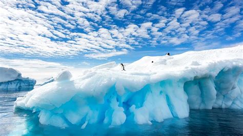 Descoperire Socanta In Antarctica Ce Au Gasit Specialistii Sub Gheata