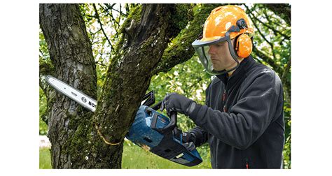 Bosch Professional Apuesta Por La Poda Invernal Para Reducir Hasta En