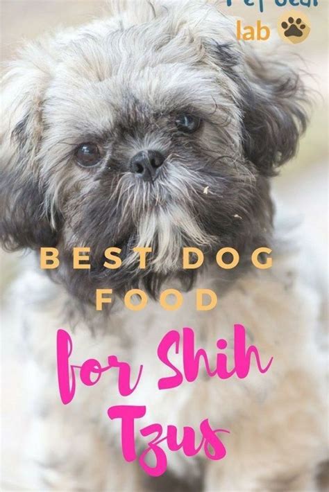 Best Dog Food For Shih Tzu Best Dog Food Shitzu Dogs Shih Tzu Dog