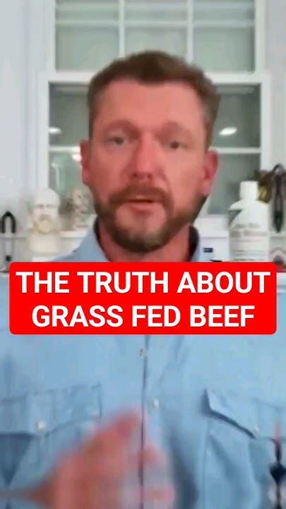 Grain Fed Vs Grass Fed Beef Which One Is Better Youtube