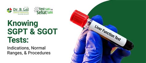 Sgpt Sgot Test Normal Ranges Indication Procedure Dr B Lal Lab