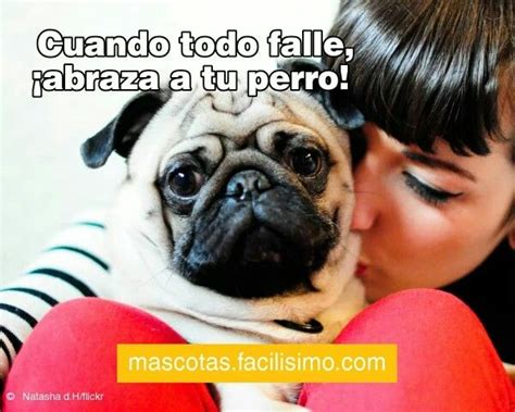 Abraza A Tu Perro Perros Imagenes Tiernas Abrazo