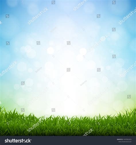 Green Grass Border White Background Gradient Stock Vector (Royalty Free ...