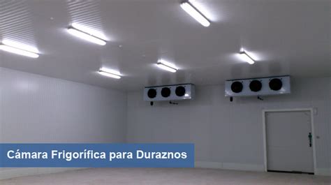 Fabrica De Camaras Frigorificas Modulares Para Arandanos Para Frutas