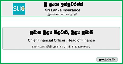 chief financial officer head  finance sri lanka insurance job