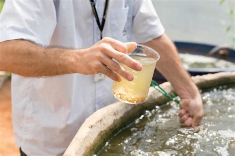 Peixes terão produção em sistema de bioflocos na região oeste do Paraná