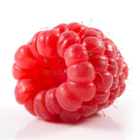 Fresh Ripe Red Raspberry Sweet Juicy Berry With Green Leaf Organic