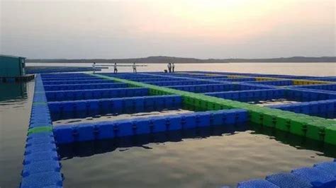 HDPE Floating Fish Farming Aquaculture Cage China Fishing Cage Fish